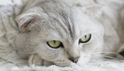 乐鱼体育APP下载地址-24小时从输47分到赢11分 热火知耻后勇复仇雄鹿